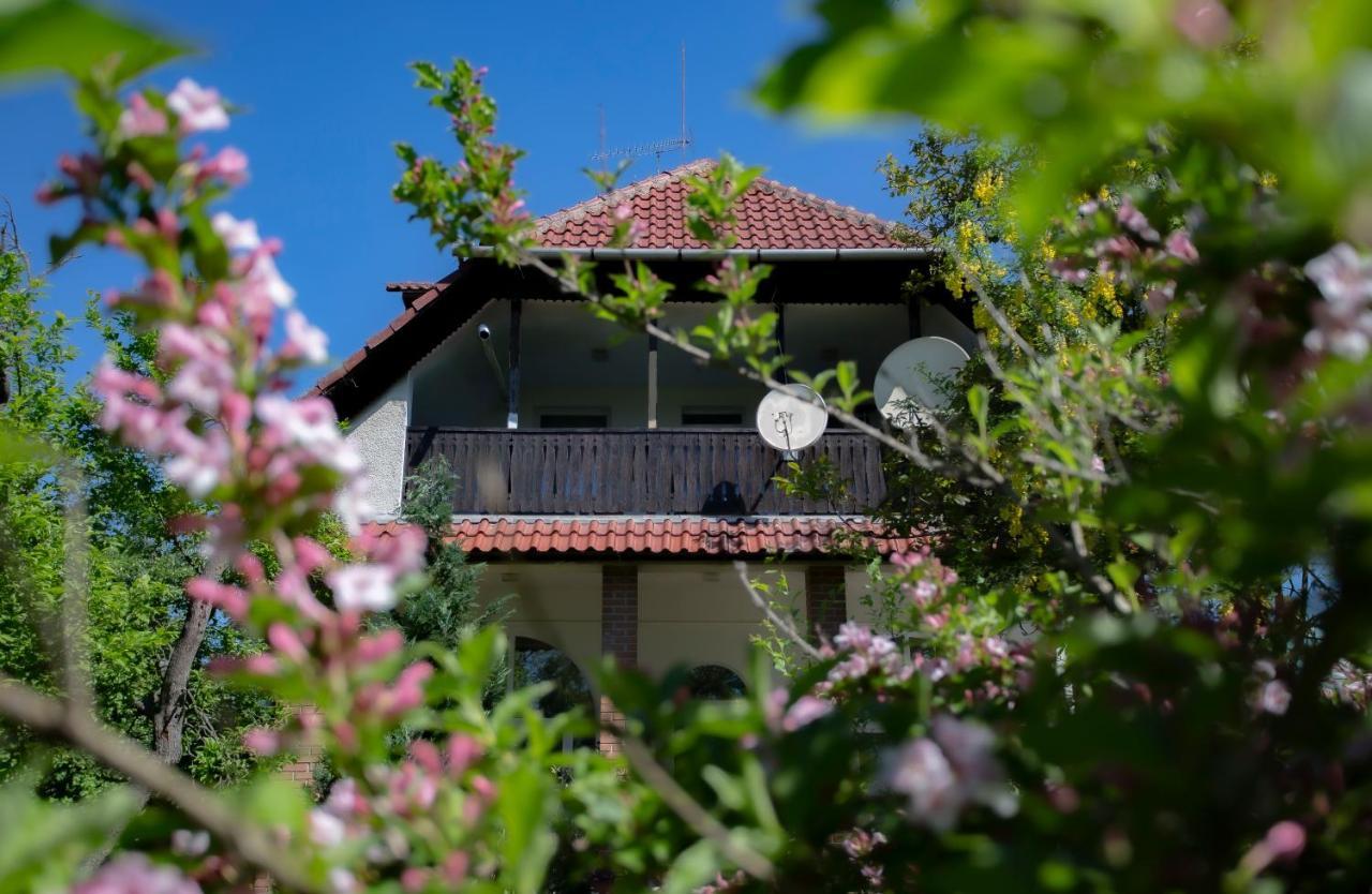 Alabastrom Panzio Es Etterem Bed & Breakfast Bogács Екстериор снимка