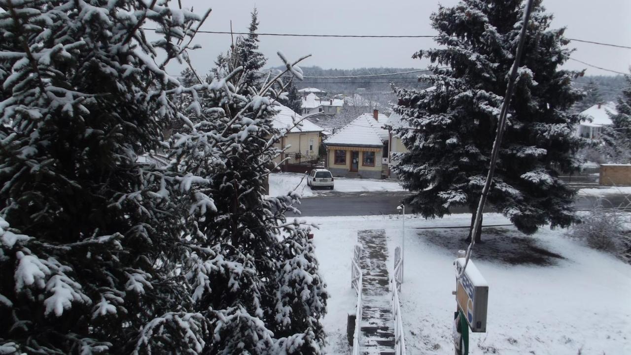 Alabastrom Panzio Es Etterem Bed & Breakfast Bogács Екстериор снимка